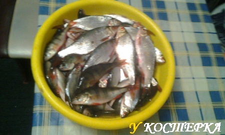 рыбалка в Хакасии767